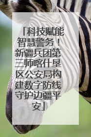 科技赋能智慧警务！新疆兵团第三师喀什垦区公安局构建数字防线守护边疆平安