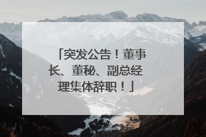 突发公告！董事长、董秘、副总经理集体辞职！