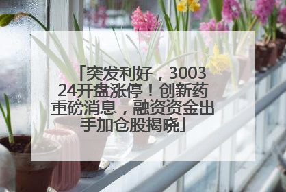突发利好，300324开盘涨停！创新药重磅消息，融资资金出手加仓股揭晓