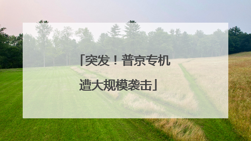 突发！普京专机遭大规模袭击