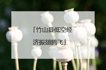 竹山县低空经济振翅腾飞