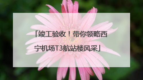 竣工验收！带你领略西宁机场T3航站楼风采