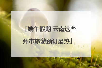端午假期 云南这些州市旅游预订最热