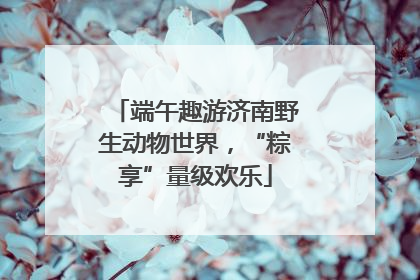 端午趣游济南野生动物世界，“粽享”量级欢乐