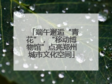 端午邂逅“青花”，“移动博物馆”点亮郑州城市文化空间