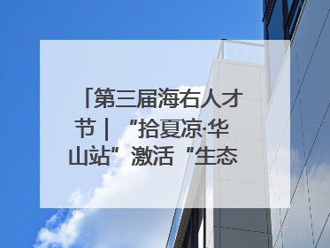 第三届海右人才节｜“拾夏凉·华山站”激活“生态聚才”强磁场