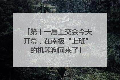 第十一届上交会今天开幕，在南极“上班”的机器狗回来了