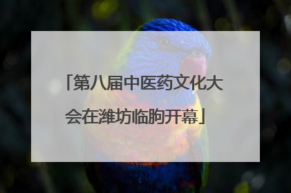 第八届中医药文化大会在潍坊临朐开幕