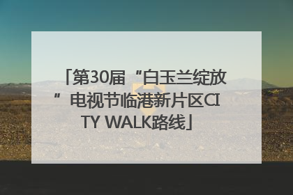 第30届“白玉兰绽放”电视节临港新片区CITY WALK路线