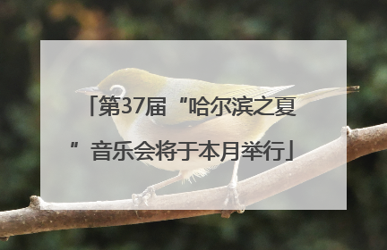 第37届“哈尔滨之夏”音乐会将于本月举行