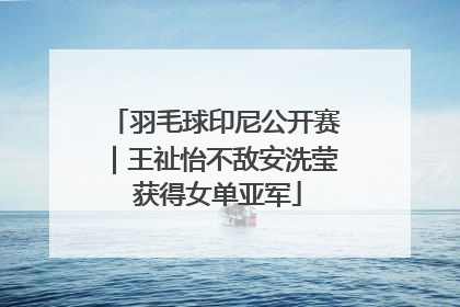 羽毛球印尼公开赛｜王祉怡不敌安洗莹 获得女单亚军