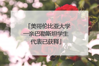 美哥伦比亚大学一亲巴勒斯坦学生代表已获释