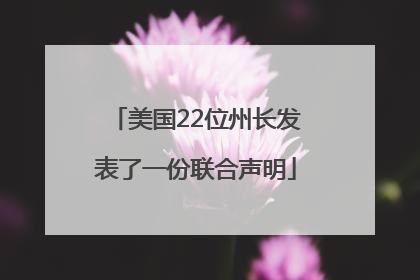 美国22位州长发表了一份联合声明