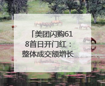 美团闪购618首日开门红：整体成交额增长两倍，华为、Apple、沃尔玛等近800个品牌翻倍增长