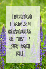 群龙竞渡！龙岗龙舟邀请赛现场超“燃”！_深圳新闻网