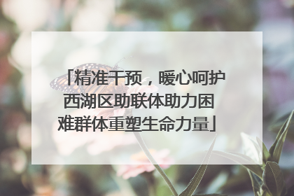 精准干预，暖心呵护 西湖区助联体助力困难群体重塑生命力量