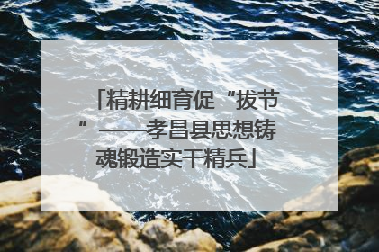 精耕细育促“拔节”——孝昌县思想铸魂锻造实干精兵