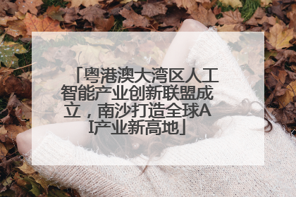 粤港澳大湾区人工智能产业创新联盟成立，南沙打造全球AI产业新高地