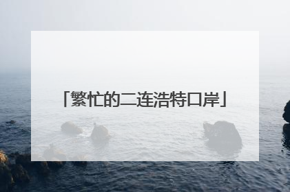 繁忙的二连浩特口岸