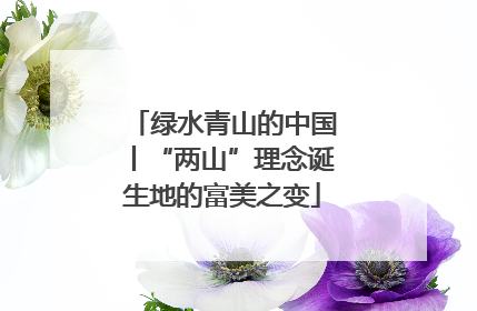 绿水青山的中国丨“两山”理念诞生地的富美之变