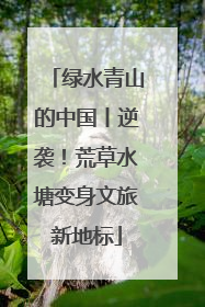 绿水青山的中国丨逆袭！荒草水塘变身文旅新地标