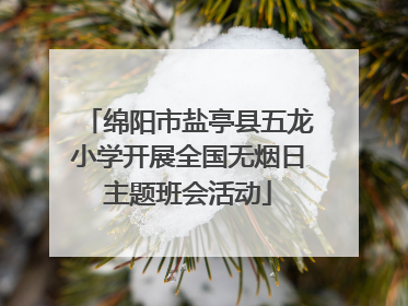 绵阳市盐亭县五龙小学开展全国无烟日主题班会活动