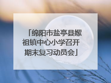 绵阳市盐亭县嫘祖镇中心小学召开期末复习动员会