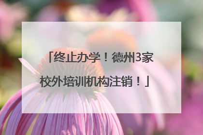 终止办学！德州3家校外培训机构注销！