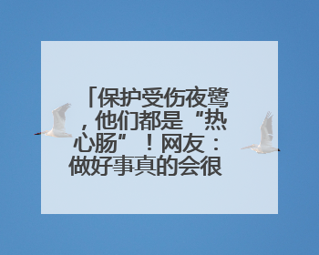 保护受伤夜鹭，他们都是“热心肠”！网友：做好事真的会很开心！