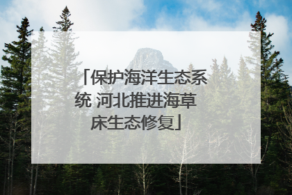 保护海洋生态系统 河北推进海草床生态修复