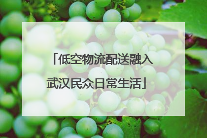 低空物流配送融入武汉民众日常生活