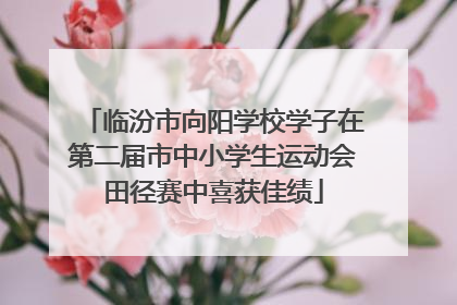 临汾市向阳学校学子在第二届市中小学生运动会田径赛中喜获佳绩