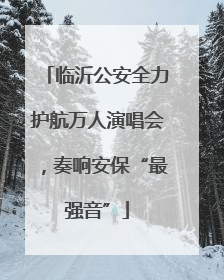 临沂公安全力护航万人演唱会，奏响安保“最强音”