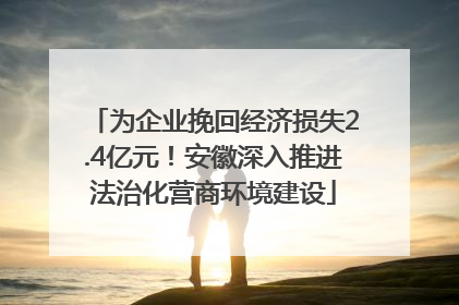 为企业挽回经济损失2.4亿元！安徽深入推进法治化营商环境建设