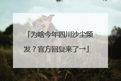 为啥今年四川沙尘频发？官方回复来了→