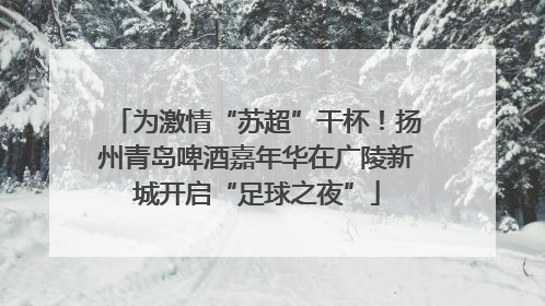 为激情“苏超”干杯！扬州青岛啤酒嘉年华在广陵新城开启“足球之夜”