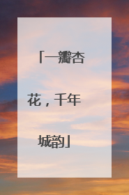 一瓣杏花，千年城韵