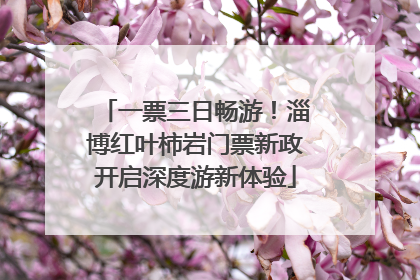一票三日畅游！淄博红叶柿岩门票新政开启深度游新体验