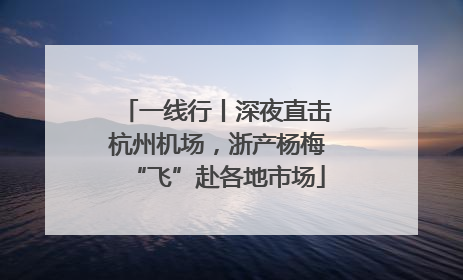 一线行丨深夜直击杭州机场，浙产杨梅“飞”赴各地市场