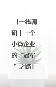 一线调研丨一个小微企业的“冠军”之路