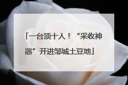 一台顶十人！“采收神器”开进邹城土豆地