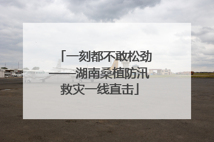 一刻都不敢松劲——湖南桑植防汛救灾一线直击