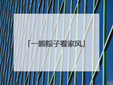 一颗粽子看家风