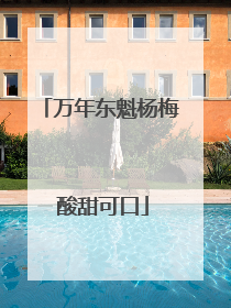 万年东魁杨梅 酸甜可口