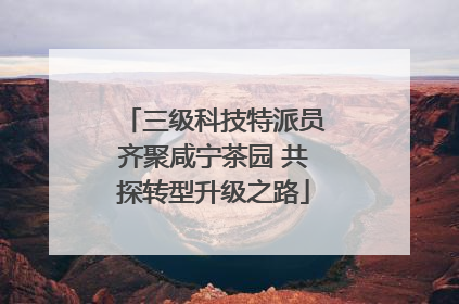 三级科技特派员齐聚咸宁茶园 共探转型升级之路
