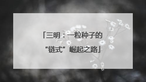三明：一粒种子的“链式”崛起之路