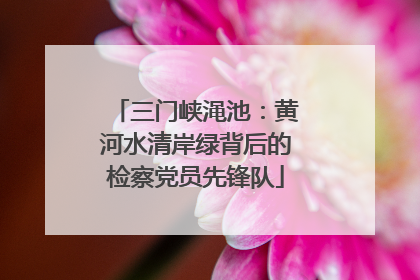三门峡渑池：黄河水清岸绿背后的检察党员先锋队
