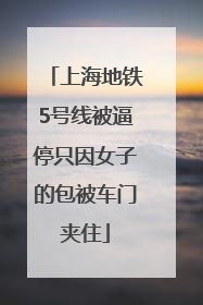 上海地铁5号线被逼停只因女子的包被车门夹住
