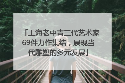 上海老中青三代艺术家69件力作集结，展现当代雕塑的多元发展