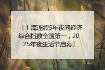 上海连续5年夜间经济综合指数全国第一，2025年夜生活节启幕